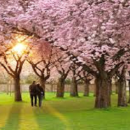 LA  FAMIGLIA  NELLA  SOCIETA’  CONTEMPORANEA