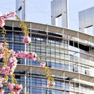 EUROPA :  UN   SOGNO   PROIBITO Luci e ombre sul processo di costruzione politica europea