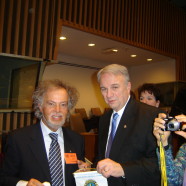 A.A.A.  Lionismo  cercasi