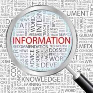 LA POLITICA FRA INFORMAZIONE E OPINIONE   